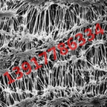 FGLP01300密理博0.22um*13mm聚四氟乙烯PTFE白色疏水光面表面滤膜