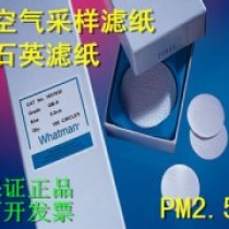 1851-047 Whatman PM2.5空气检测石英滤纸滤膜