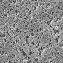 ANWP04700美国Millipore 0.8um尼龙表面滤膜