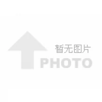 不含有粘合剂树脂的玻璃纤维过滤膜 类型AP40，125MM直径