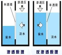 反渗透原理 超纯水制取方法——反渗透法